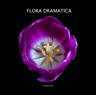 FLORA DRAMATICA book cover