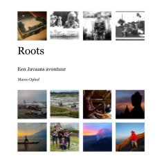Roots book cover