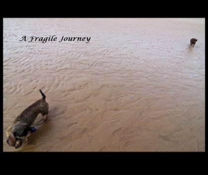A Fragile Journey book cover