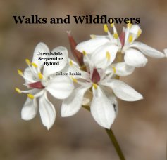 Walks and Wildflowers book cover