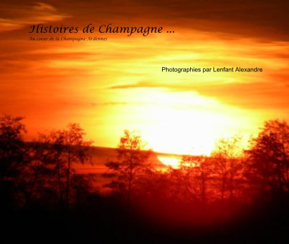 Histoires de Champagne ... Au coeur de la Champagne-Ardennes book cover