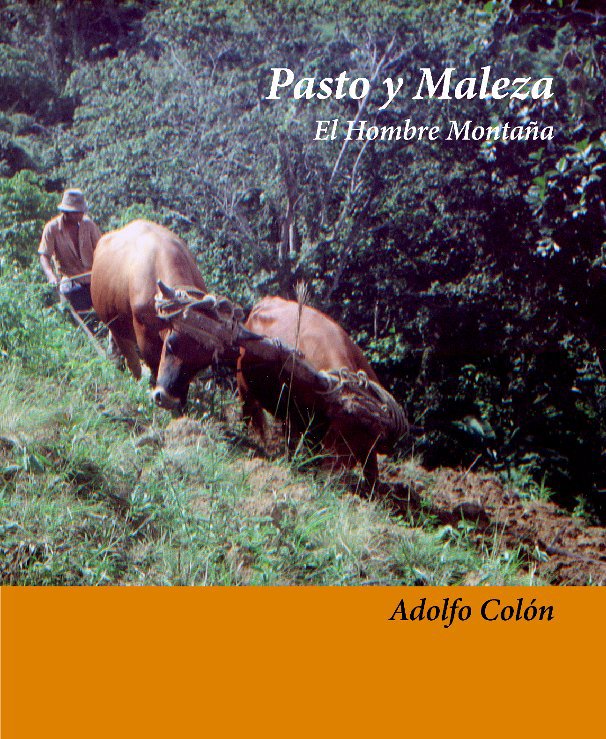 View Pasto y Maleza by Adolfo Colon