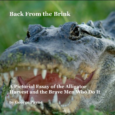 Back From the Brink book cover