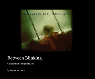 Between Blinking. book cover