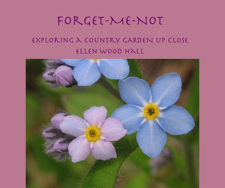 View Forget-Me-Not by Ellen Wood Hall