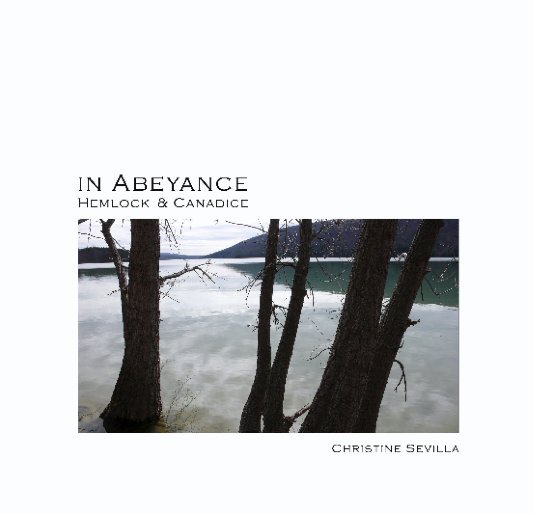 View In Abeyance - Hemlock & Canadice by Christine Sevilla