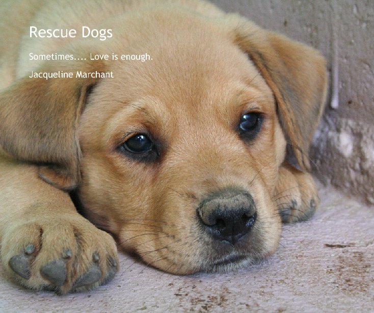 View Rescue Dogs by Jacqueline Marchant
