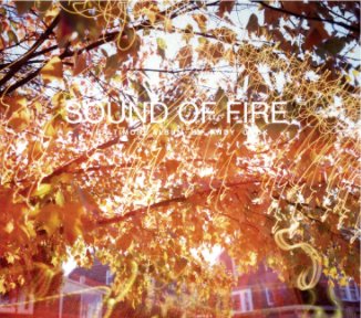 Sound Of Fire book cover