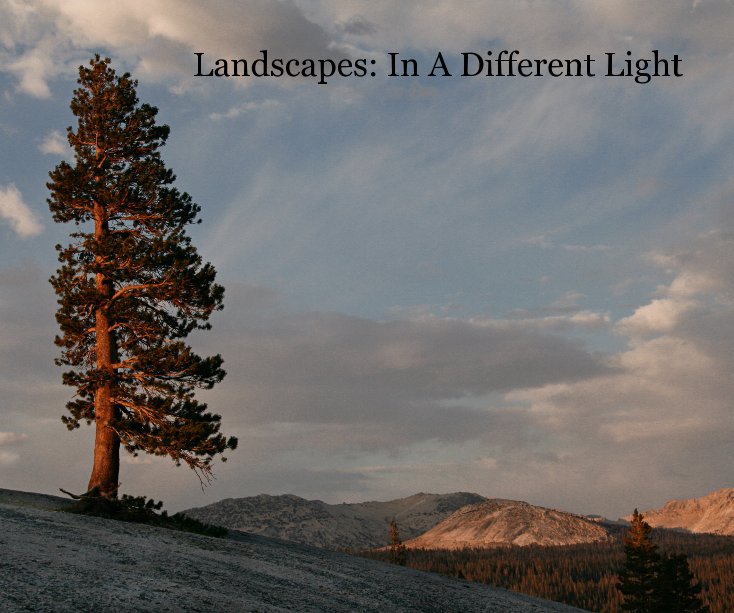 View Landscapes: In A Different Light by Joan Biordi