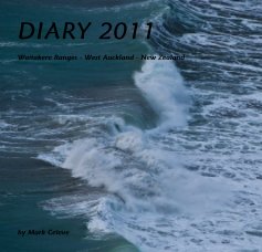 DIARY 2011 book cover