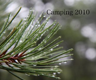 Camping 2010 book cover