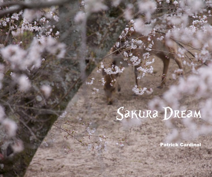 View Sakura Dream by Patrick Cardinal
