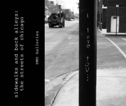 sidewalks and back alleys:the streets of chicago book cover