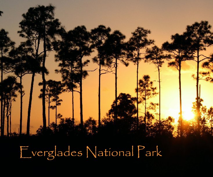 Everglades National Park nach Doug McMillen anzeigen