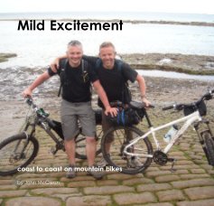 Mild Excitement book cover