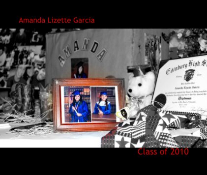 Amanda Lizette Garcia book cover