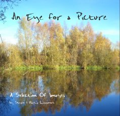 An Eye for a Picture book cover