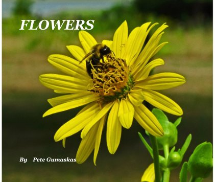 FLOWERS By Pete Gumaskas book cover