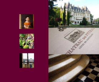 Chateau de Pitray, Vol. 3 book cover