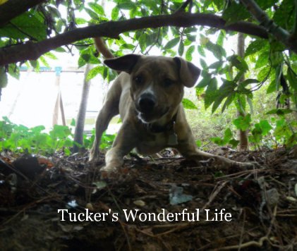 Tucker's Wonderful Life book cover