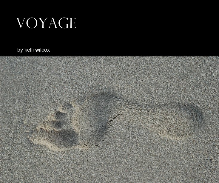 View voyage by by kelli wilcox