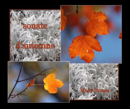 sonate d'automne book cover