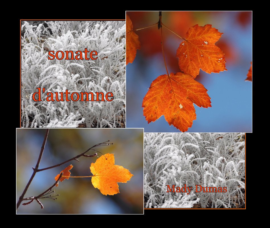 View sonate d'automne by Mady Dumas