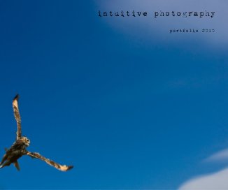intuitive photography book cover