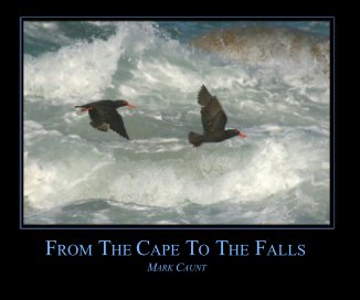 From The Cape To The Falls book cover
