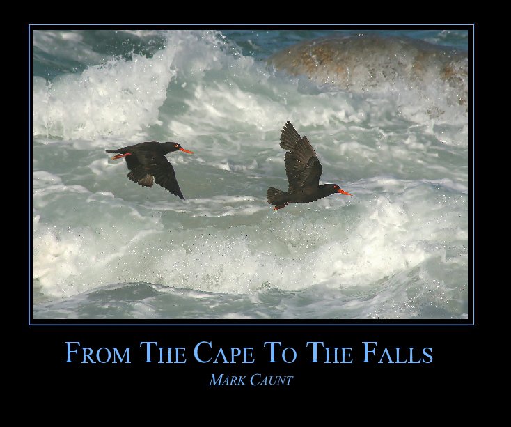 Ver From The Cape To The Falls por Mark Caunt