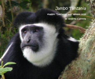 Jambo Tanzania book cover
