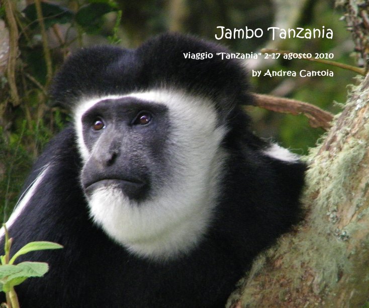 View Jambo Tanzania by Andrea Cantoia