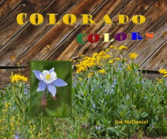 COLORADO COLORS book cover