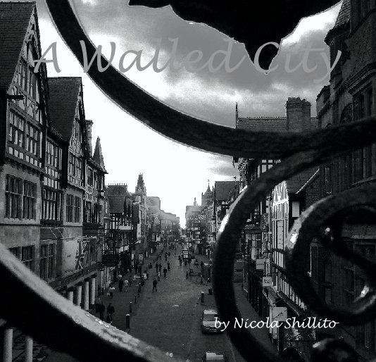 View A Walled City by by Nicola Shillito