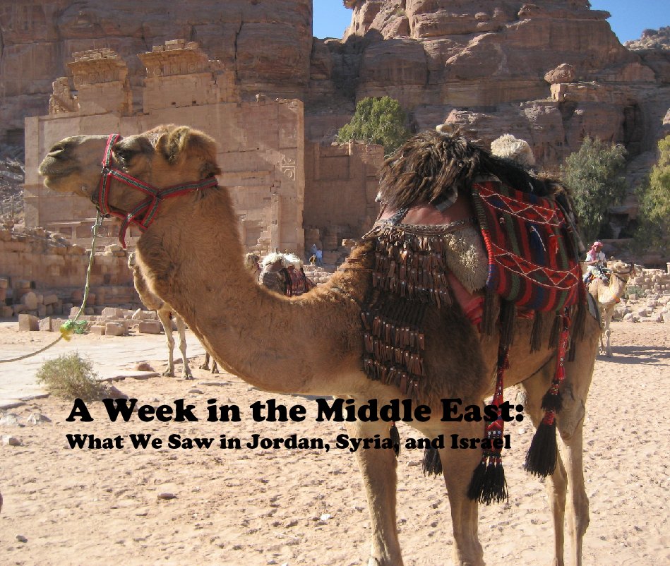 Visualizza A Week in the Middle East:
What We Saw in Jordan, Syria, and Israel di marcia.logan