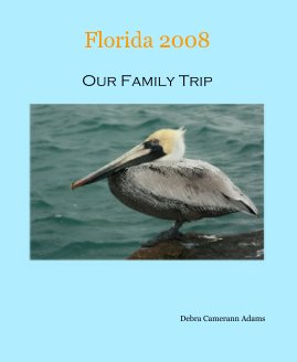 Florida 2008 book cover