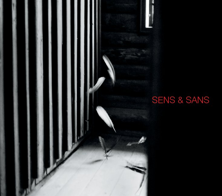 View Sens & Sans repro by Sindre Kjetil Frigstad m.fl.