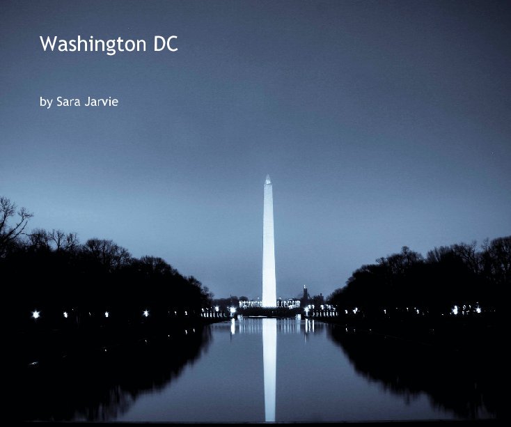 View Washington DC by Sara Jarvie