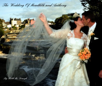 The Wedding Of Meadhbh and Anthony book cover
