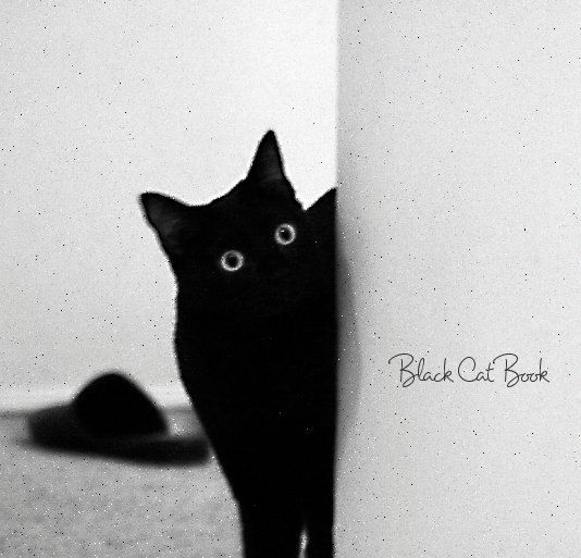 View Black Cat Book by Marianna Tankelevich