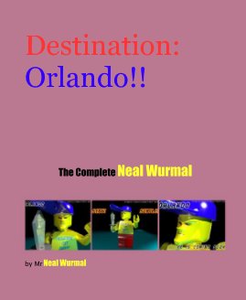 Destination: Orlando!! book cover