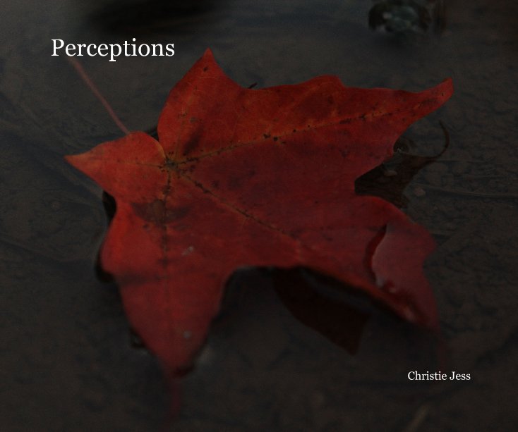 View Perceptions by Christie Jess