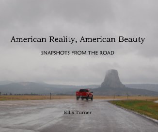 American Reality, American Beauty book cover