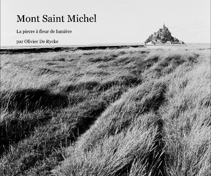 View Mont Saint Michel by par Olivier De Rycke