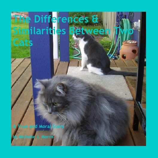 View The Differences & Similarities Between Two Cats by Michelle J. Morris
