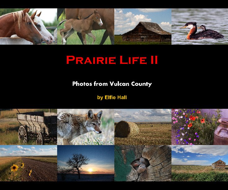 Prairie Life II nach Elfie Hall anzeigen