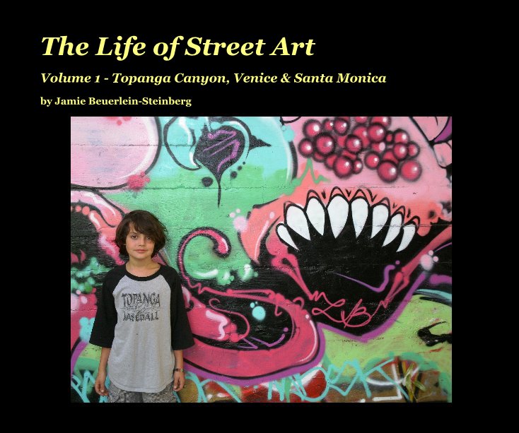 Ver The Life of Street Art por Jamie Beuerlein-Steinberg