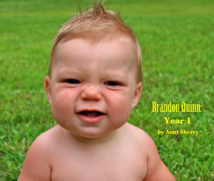 Brandon Quinn: Year 1 book cover