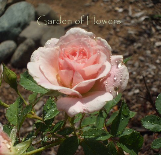 View Garden of Flowers by Jessica Elisabeth