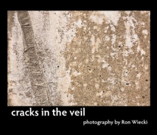 cracks in the veil book cover